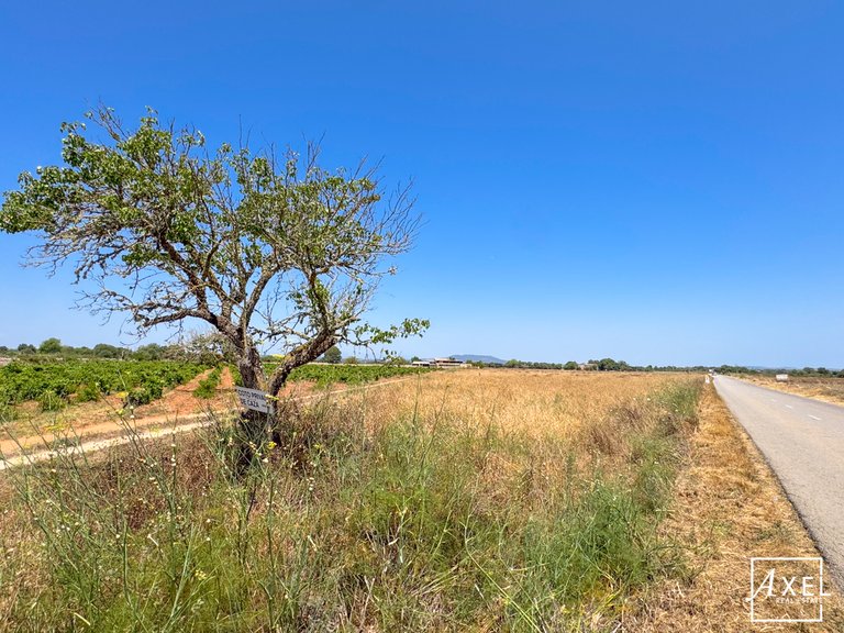 Plot for Sale in Felanitx, Balearic Islands 9