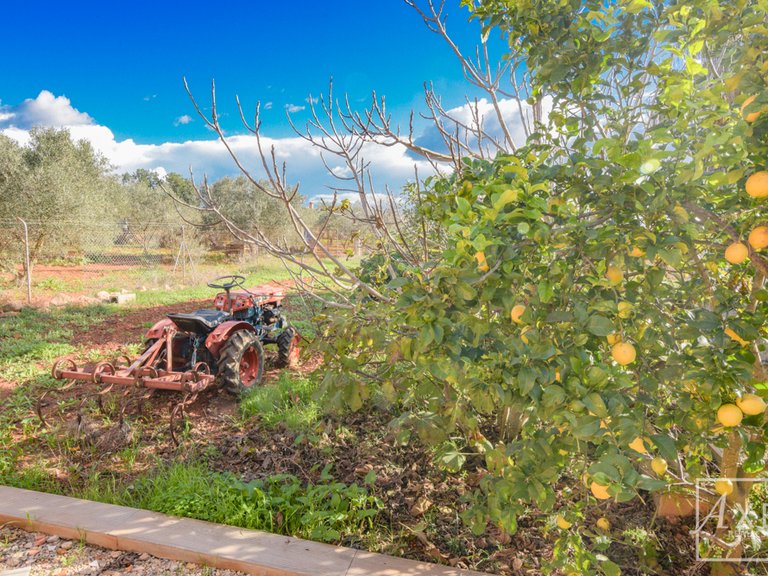 Town House for Sale in Llucmajor, Balearic Islands 25