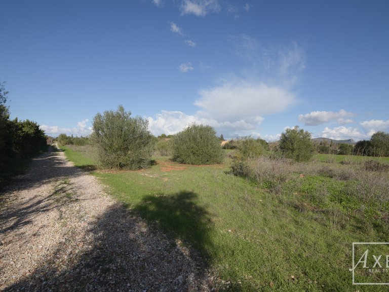 Town House for Sale in Llucmajor, Balearic Islands 39