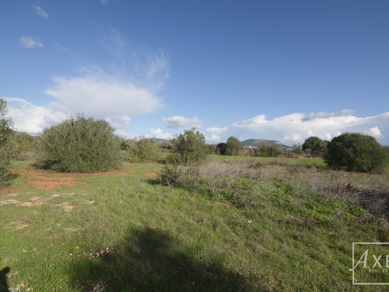 Town House for Sale in Llucmajor, Balearic Islands 40