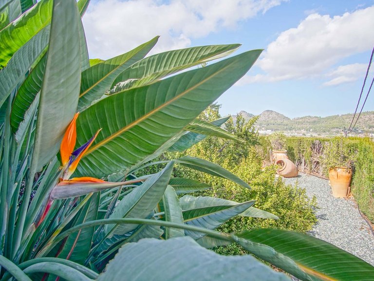 Villa for Sale in Pedreguer, Alicante 34