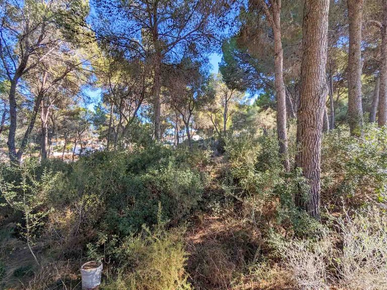 Villa for Sale in Moraira, Alicante 8
