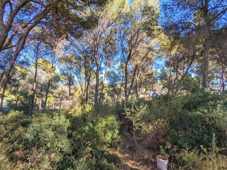 Villa for Sale in Moraira, Alicante 9