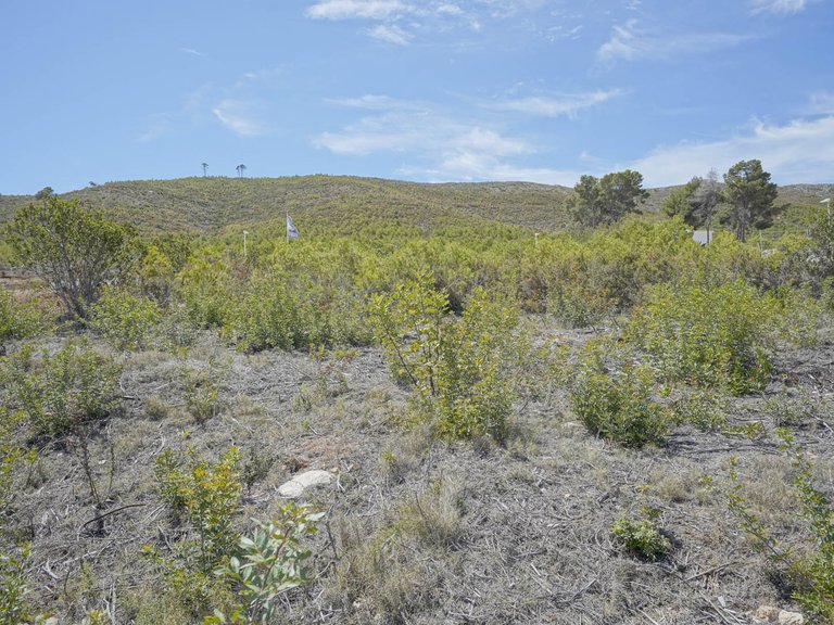 Villa for Sale in Javea, Alicante 6