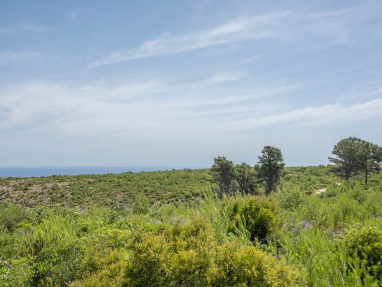 Plot for Sale in Javea/xabia, Alicante 1