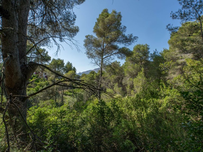 Plot for Sale in Javea/xabia, Alicante 3