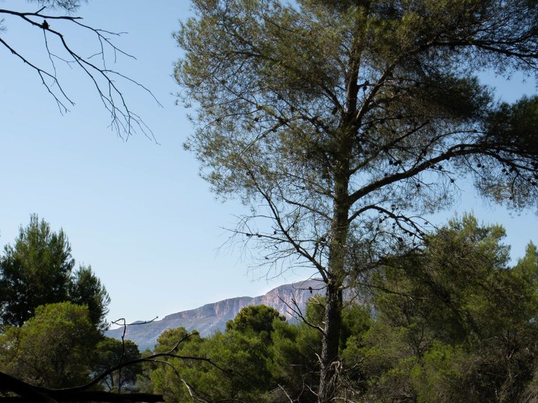Plot for Sale in Javea/xabia, Alicante 4