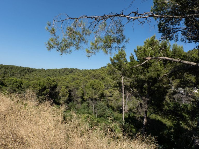Plot for Sale in Javea/xabia, Alicante 6