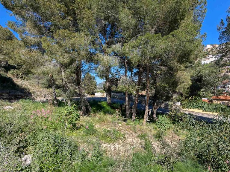 Villa for Sale in Pedreguer, Alicante 23