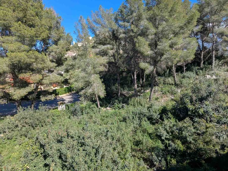 Villa for Sale in Pedreguer, Alicante 27