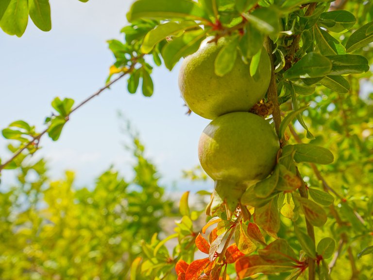 Villa for Sale in Benitachell, Alicante 37