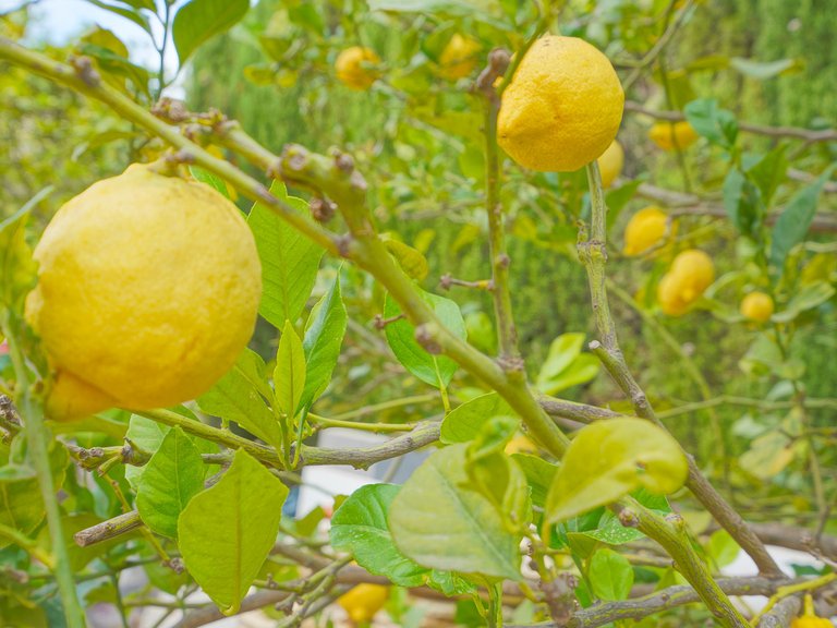 Villa for Sale in Benitachell, Alicante 39