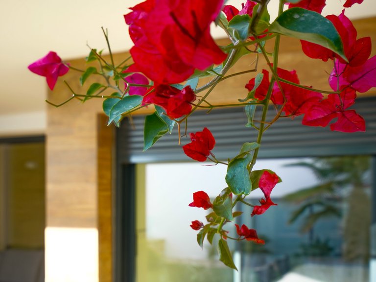 Apartment for Sale in Benitachell, Alicante 25