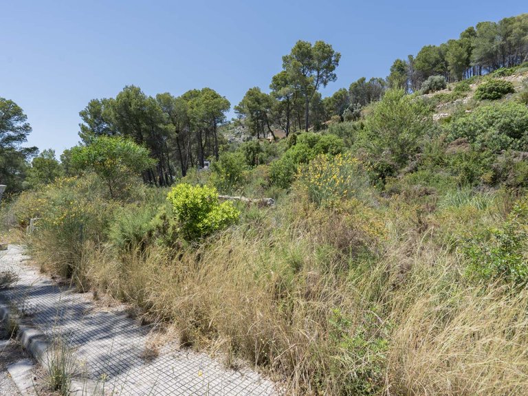 Villa for Sale in Alcalalí, Alicante 24