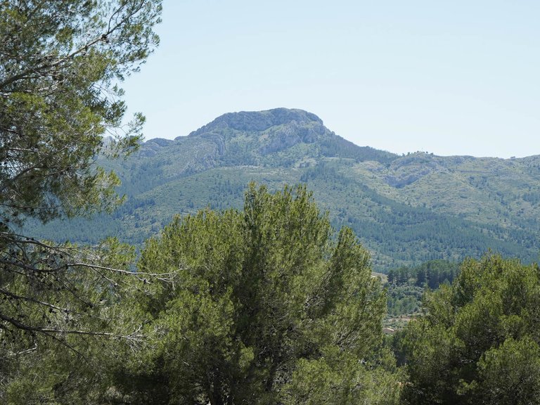 Villa for Sale in Alcalalí, Alicante 26