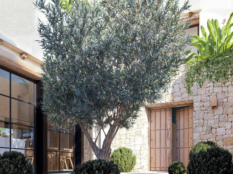 Villa for Sale in Denia, Alicante 7