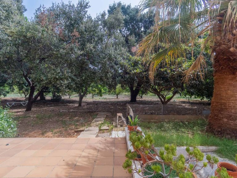 Villa for Sale in Denia, Alicante 36