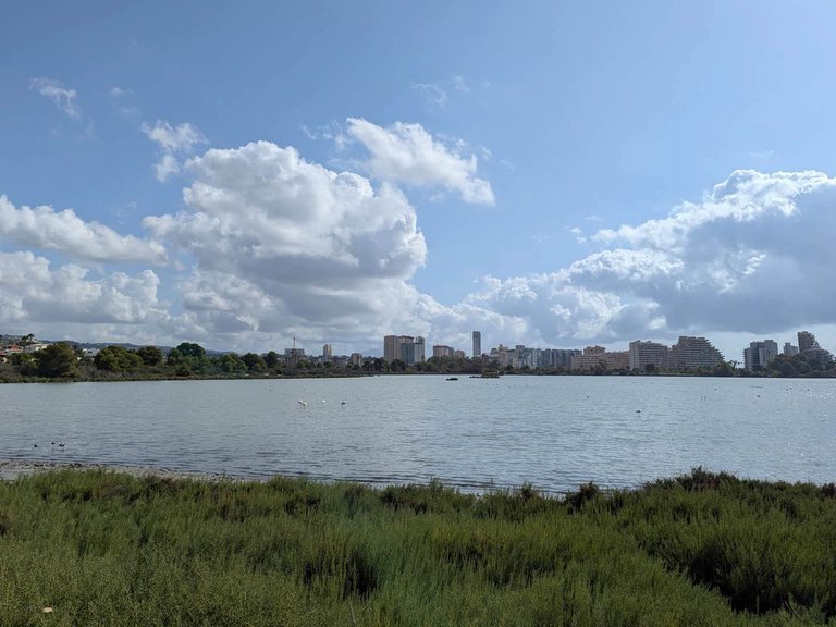 Villa for Sale in Calpe, Alicante 42