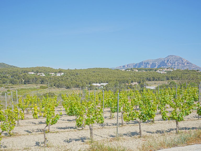 Villa for Sale in Benitachell, Alicante 45