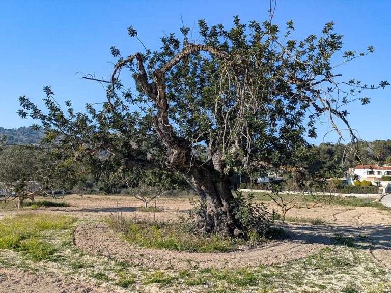 Villa for Sale in Javea, Alicante 42