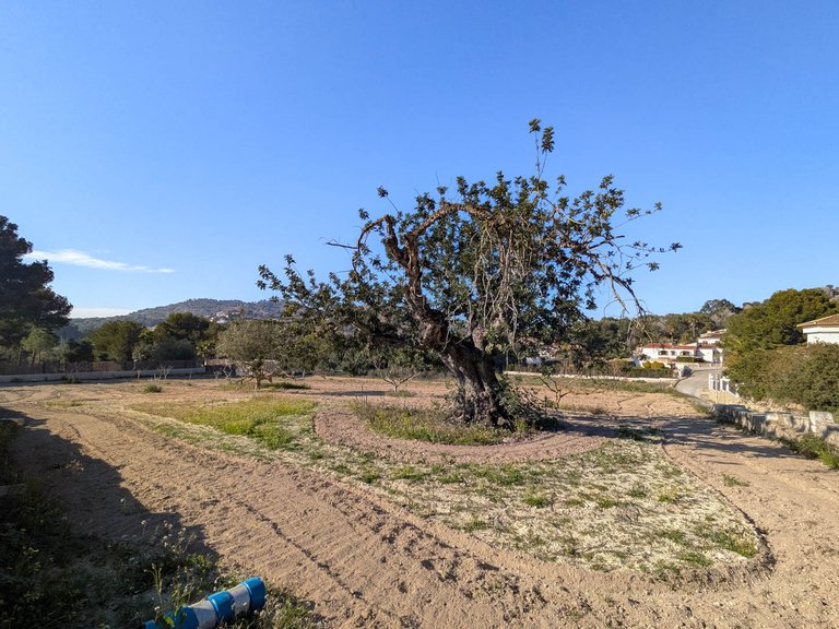 Villa for Sale in Javea, Alicante 43