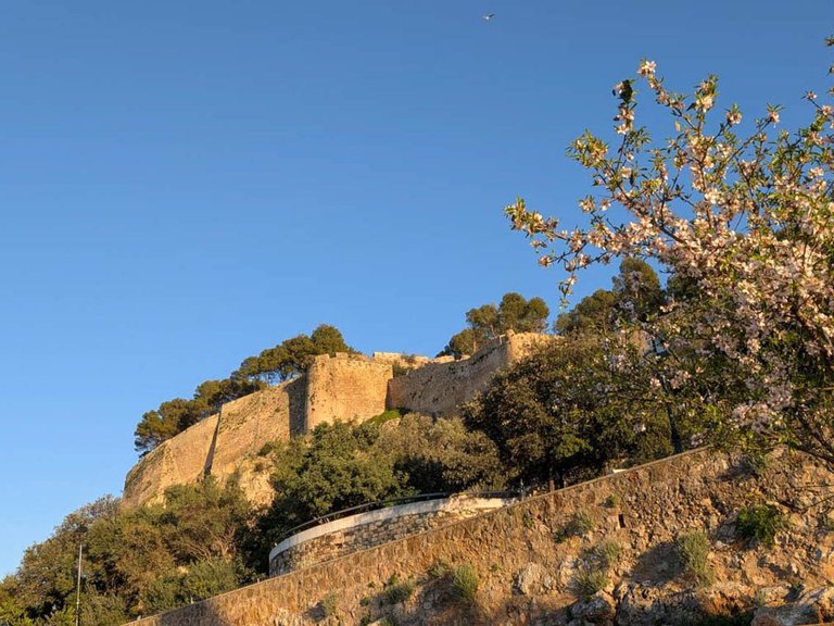 Villa for Sale in Denia, Alicante 36