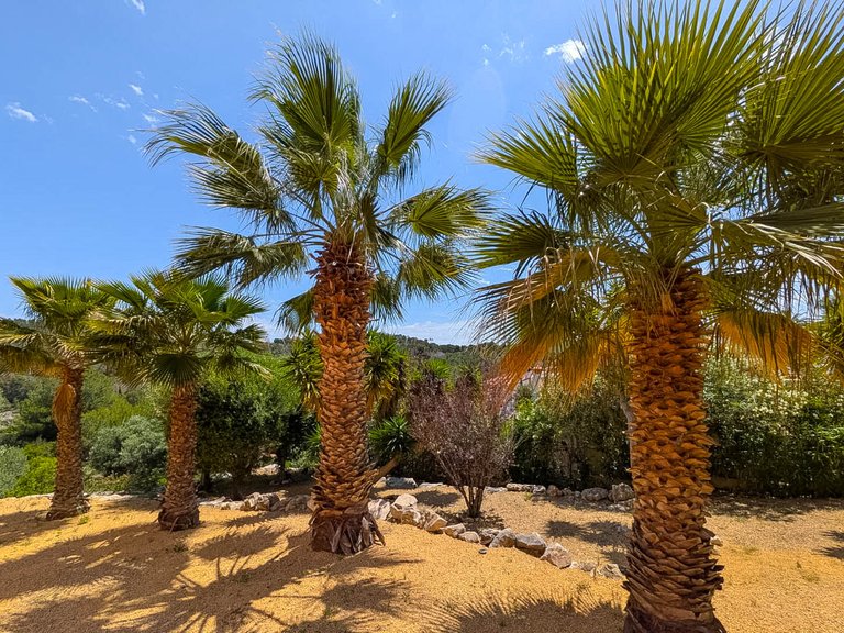 Villa for Sale in Javea, Alicante 38
