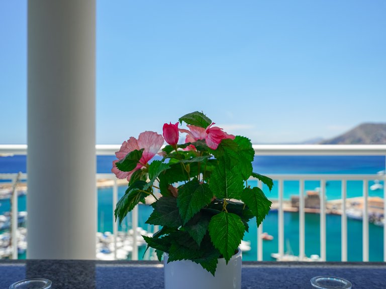 Apartment for Sale in Calpe, Alicante 9