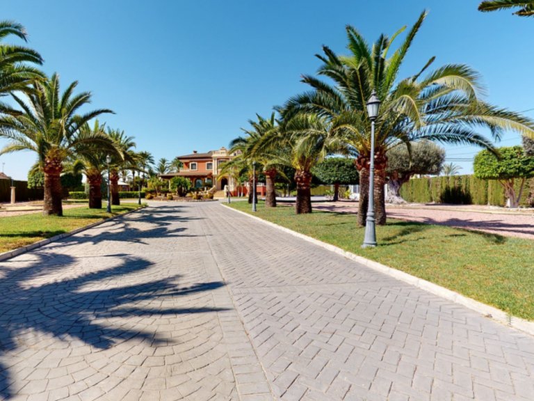 Villa for Sale in Costa Blanca Elche, Alicante 19
