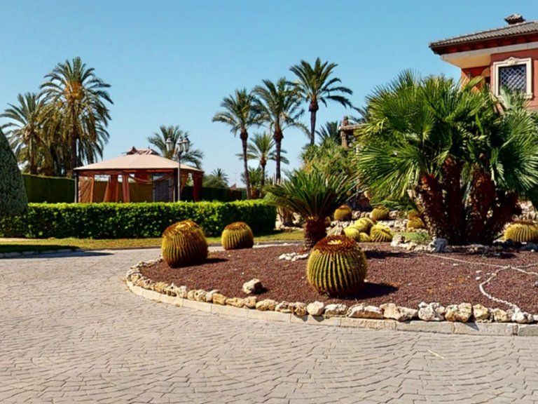 Villa for Sale in Costa Blanca Elche, Alicante 22