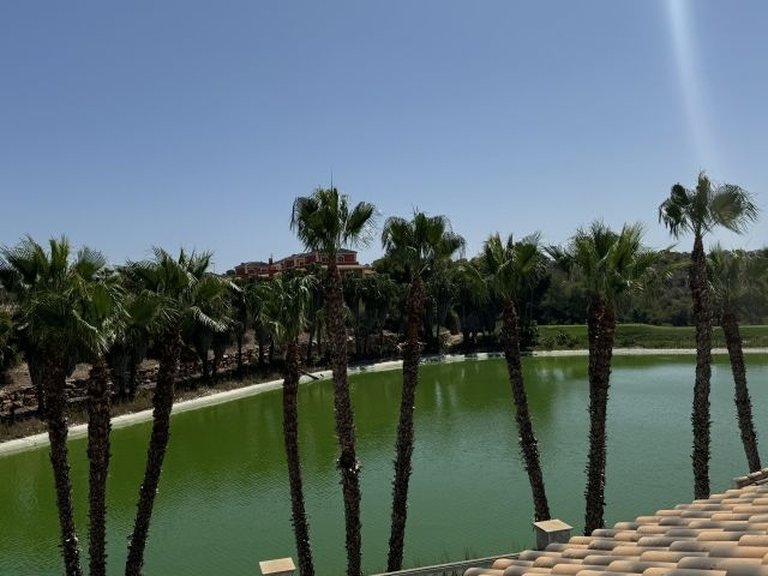 Villa for Sale in Costa Blanca Orihuela Costa, Alicante 19