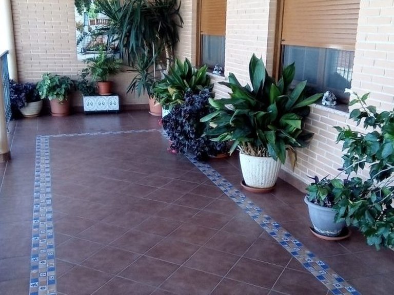 Villa for Sale in Costa Blanca Pilar De La Horadada, Alicante 20