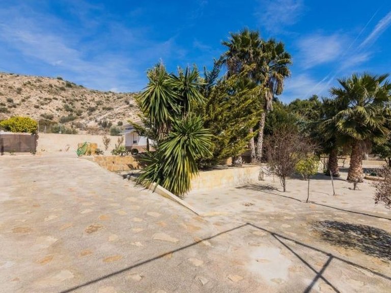 Villa for Sale in Costa Blanca Elche, Alicante 4