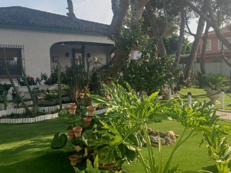 Villa for Sale in Costa Blanca Orihuela Costa, Alicante 33