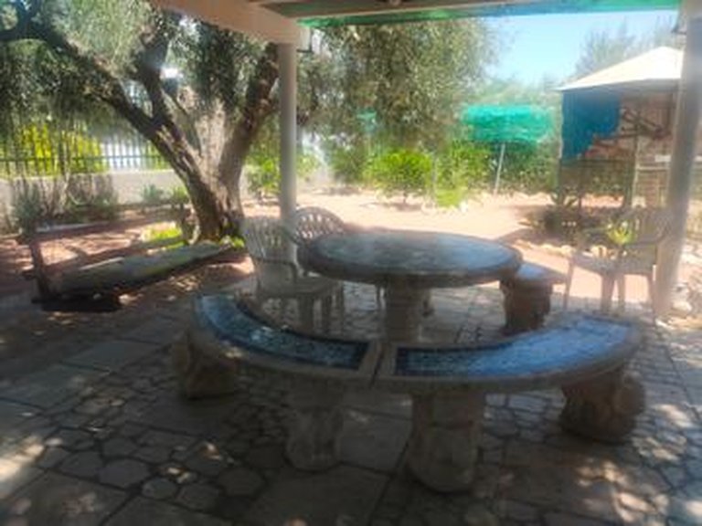 Villa for Sale in Costa Blanca Elche, Alicante 11