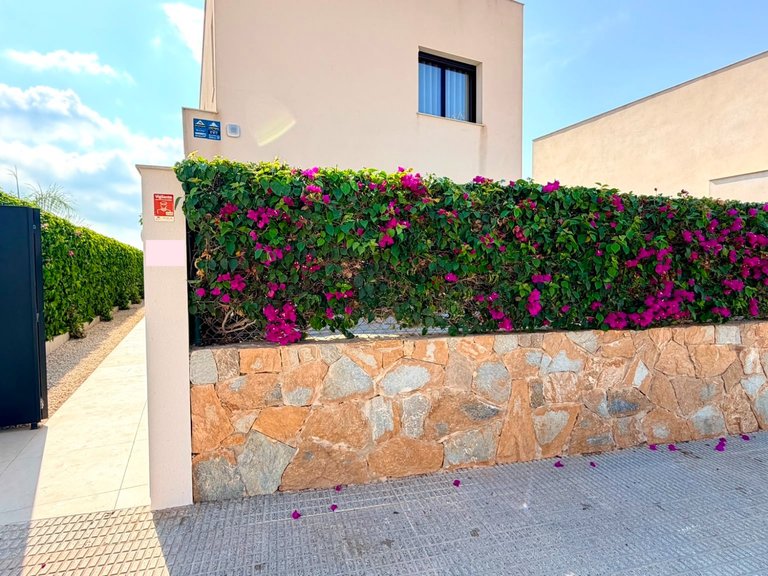 Villa for Sale in Los Montesinos, Alicante 16