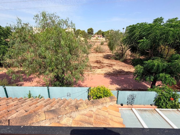 Villa for Sale in Los Montesinos, Alicante 24