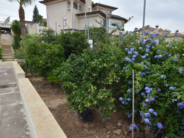 Villa for Sale in Montemar, Algorfa, Alicante 37