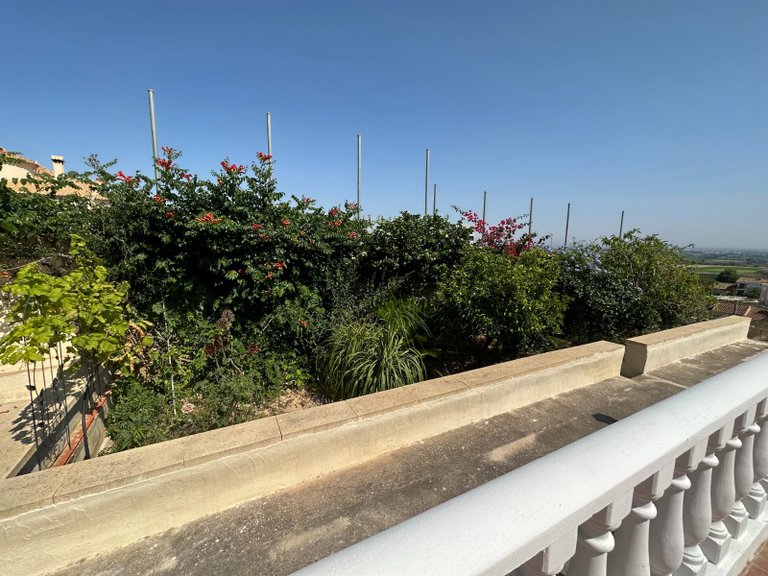 Villa for Sale in Inland Algorfa, Alicante 24