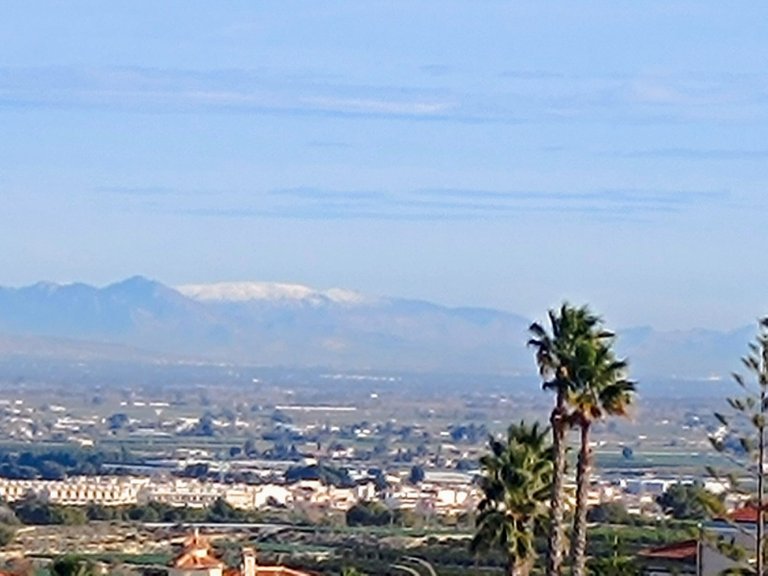 Villa for Sale in Inland Algorfa, Alicante 45