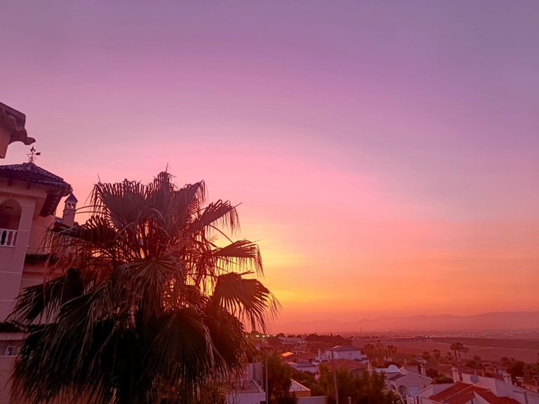 Villa for Sale in Inland Algorfa, Alicante 44