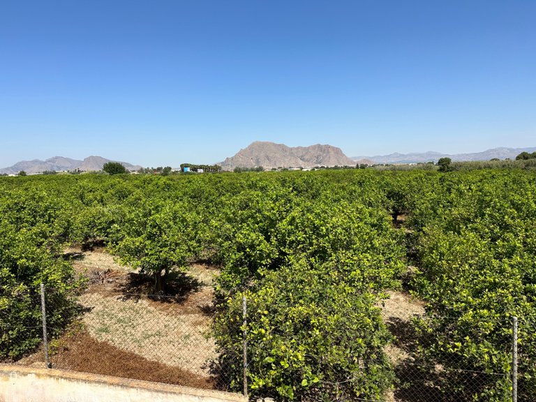 Town House for Sale in Benejuzar, Alicante 21