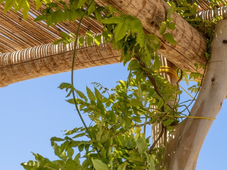 Country House for Sale in Pollença, Balearic Islands 6