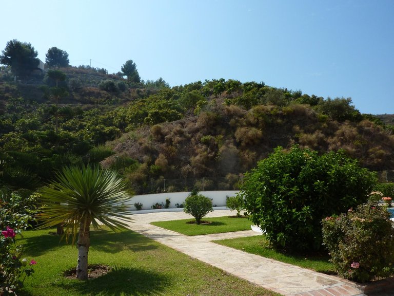 Villa for Sale in Torrox, Malaga 14
