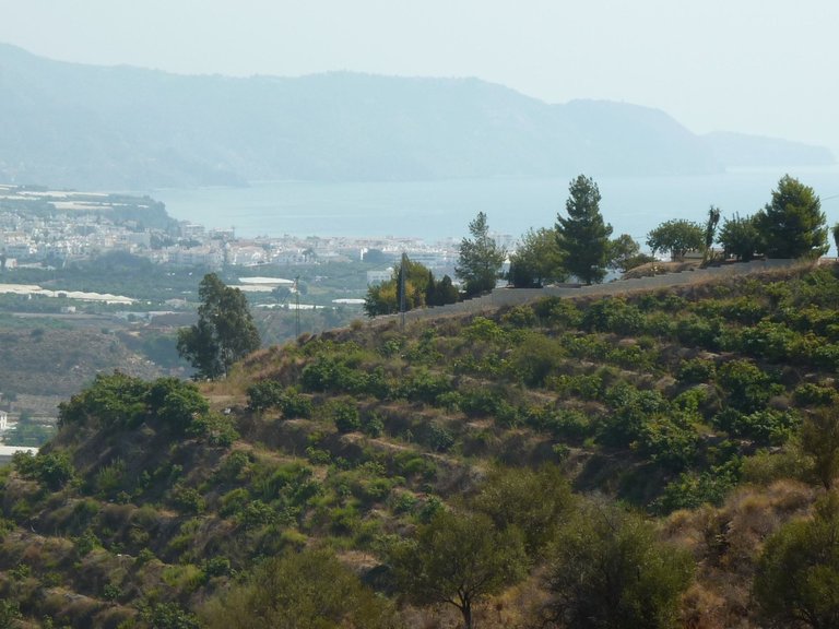 Villa for Sale in Torrox, Malaga 15