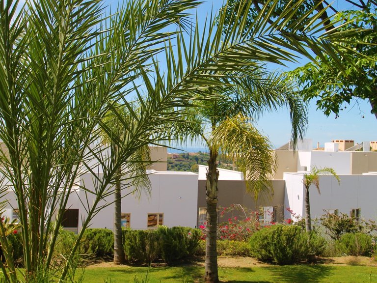 Apartment for Sale in Benahavís, Malaga 8