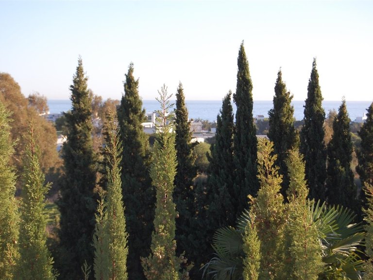 Town House for Sale in Golden Mile, Marbella, Malaga 6