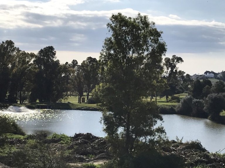 Apartment for Sale in Atalaya Golf, Estepona, Malaga 12