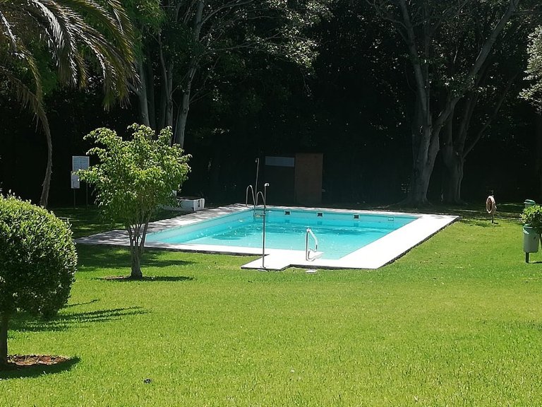 Apartment for Sale in Nueva Andalucía, Marbella, Malaga 6