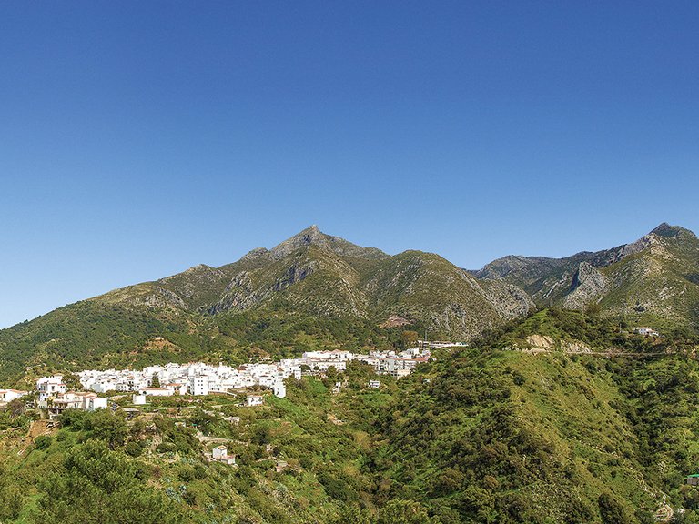 Apartment for Sale in Marbella, Malaga 14